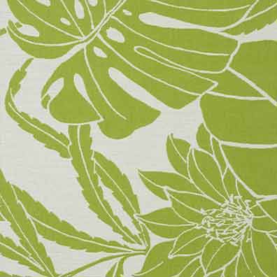 gardenia - CIoutdoor
